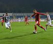 FC BOTOȘANI - ASTRA 1-2 // VIDEO+FOTO » Cronică de Remus Răureanu: Muncitori și salvatori