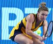 Simona Halep // FOTO: Imago