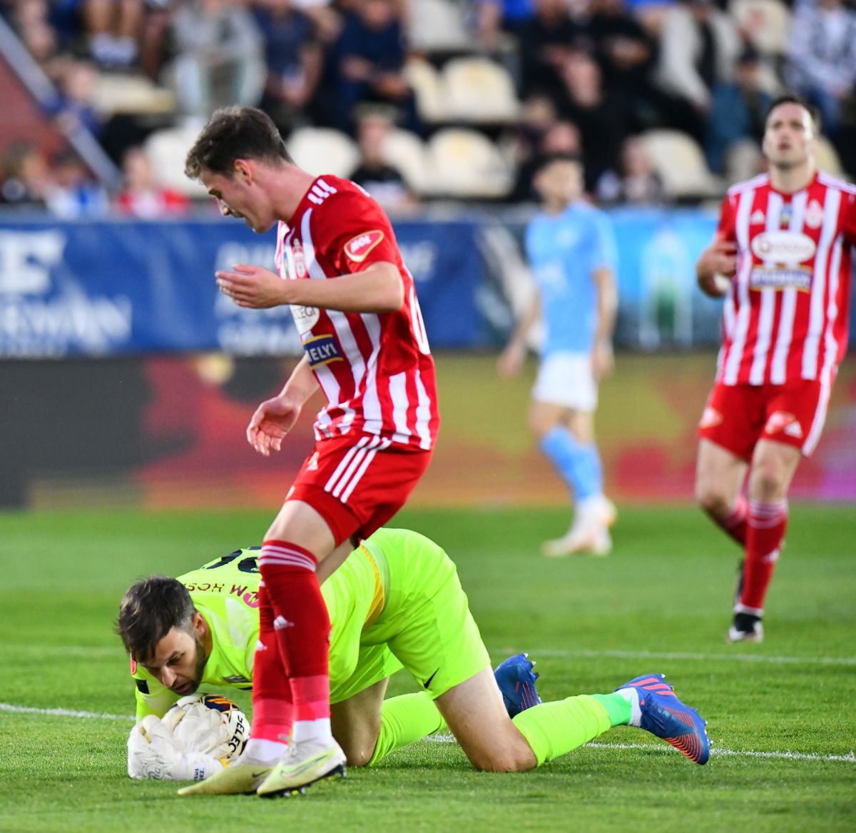 FC Voluntari -  Sepsi 0-2 » Superman Ștefănescu. Covăsnenii dau semne de revenire: a doua victorie la rând