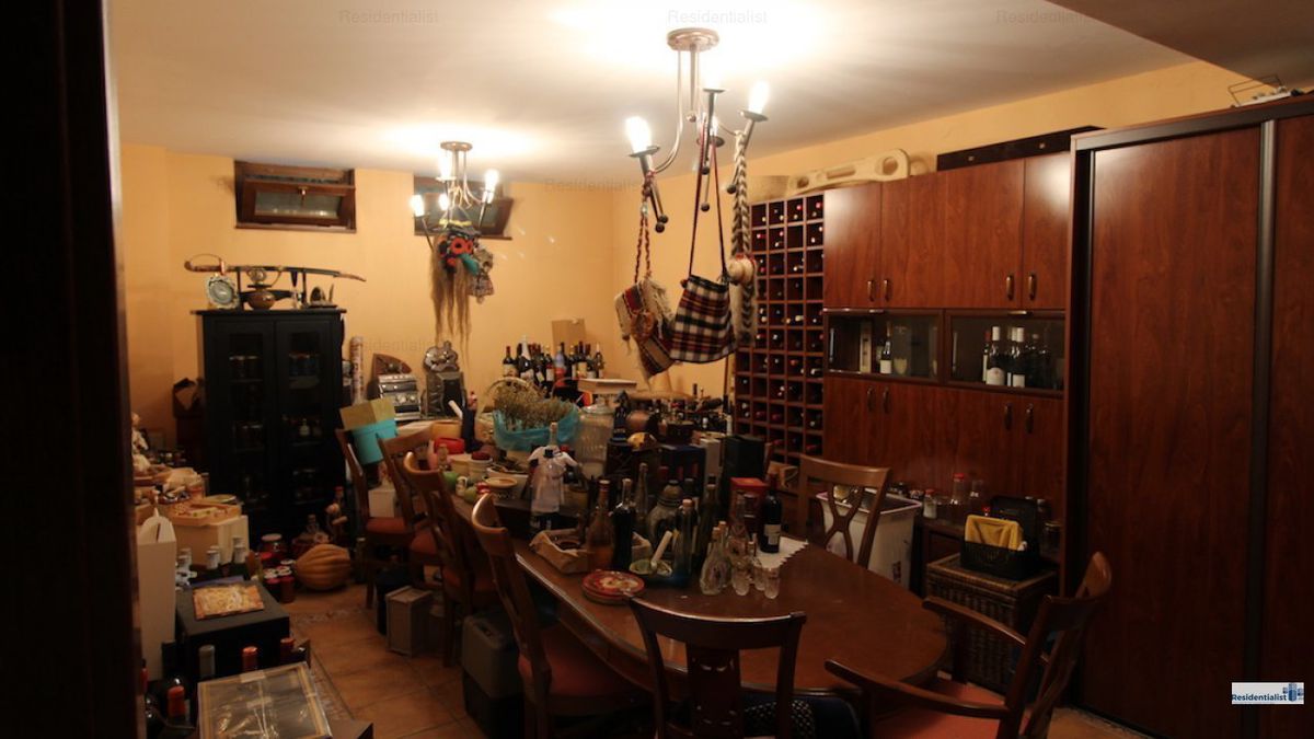 FOTO Ioan Andone a crezut că a dat lovitura cu casa vândută lui Gabi Oprea! Fostul vicepremier a scos acum „Sufrageria” la vânzare la un preț astronomic