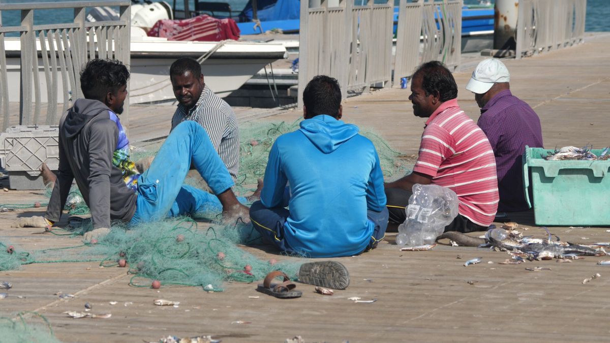 Am asistat la ritualul aducerii, scoaterii și spălării crabilor în Piața de Pește din Doha » Câți bani au încasat pescarii indieni pentru captura de jumătate de tonă, într-o zi de muncă