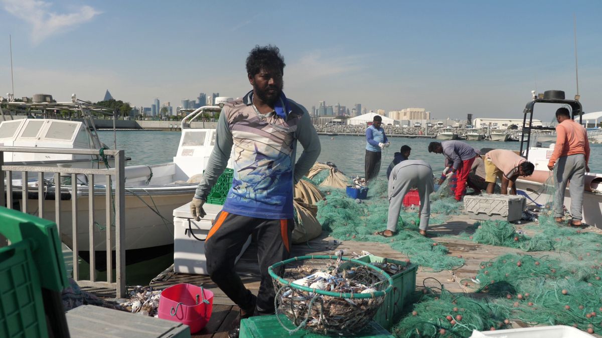 La pescuit de crabi în Doha
