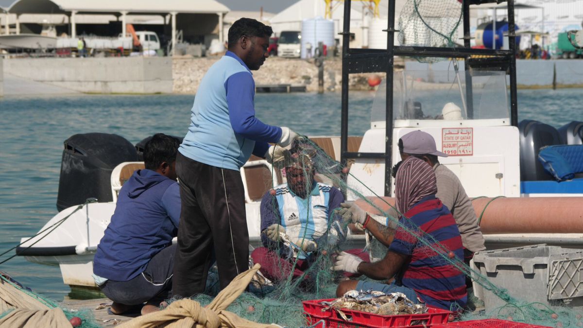 Am asistat la ritualul aducerii, scoaterii și spălării crabilor în Piața de Pește din Doha » Câți bani au încasat pescarii indieni pentru captura de jumătate de tonă, într-o zi de muncă