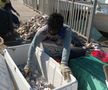Am asistat la ritualul aducerii, scoaterii și spălării crabilor în Piața de Pește din Doha » Câți bani au încasat pescarii indieni pentru captura de jumătate de tonă, într-o zi de muncă