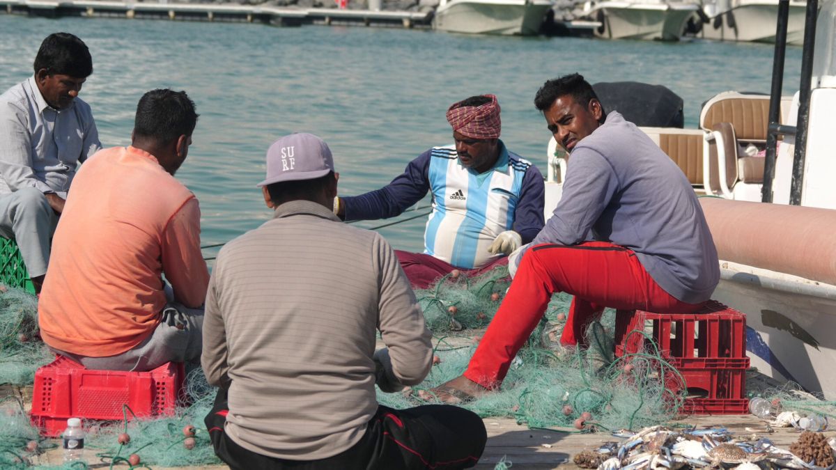 Am asistat la ritualul aducerii, scoaterii și spălării crabilor în Piața de Pește din Doha » Câți bani au încasat pescarii indieni pentru captura de jumătate de tonă, într-o zi de muncă
