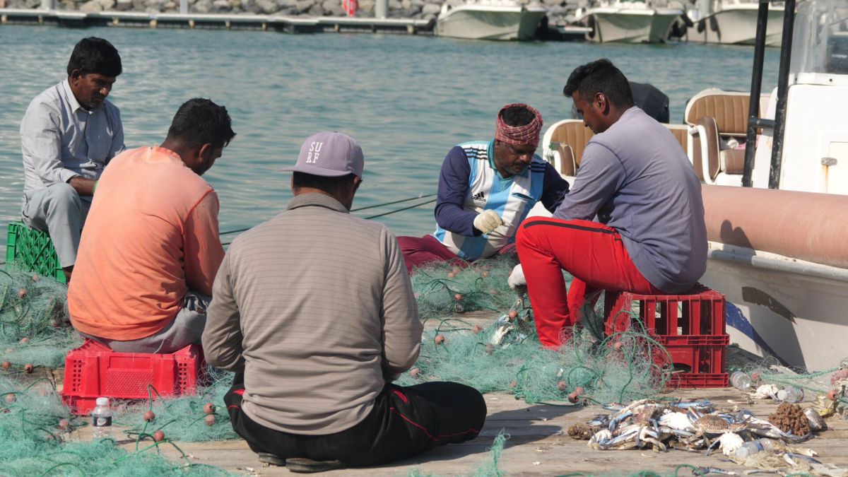 Am asistat la ritualul aducerii, scoaterii și spălării crabilor în Piața de Pește din Doha » Câți bani au încasat pescarii indieni pentru captura de jumătate de tonă, într-o zi de muncă