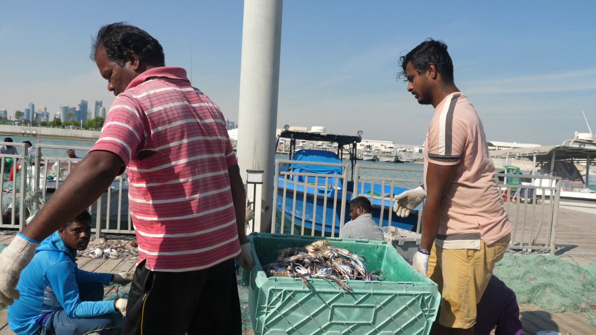 La pescuit de crabi în Doha