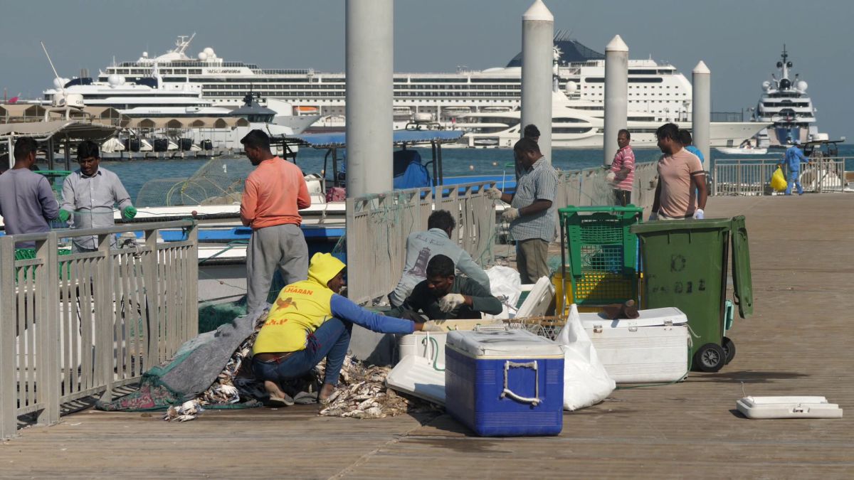 La pescuit de crabi în Doha