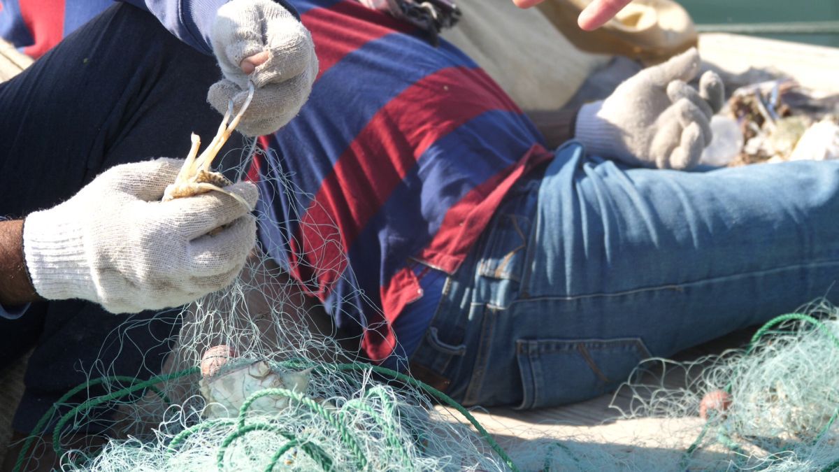 Am asistat la ritualul aducerii, scoaterii și spălării crabilor în Piața de Pește din Doha » Câți bani au încasat pescarii indieni pentru captura de jumătate de tonă, într-o zi de muncă