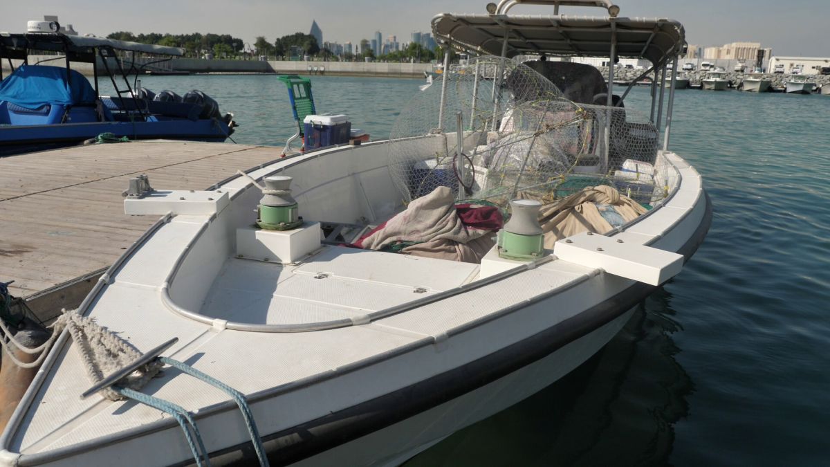 Am asistat la ritualul aducerii, scoaterii și spălării crabilor în Piața de Pește din Doha » Câți bani au încasat pescarii indieni pentru captura de jumătate de tonă, într-o zi de muncă