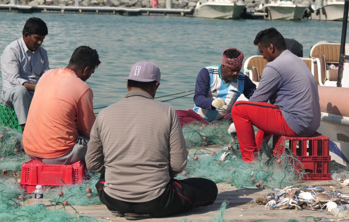 La pescuit de crabi în Doha