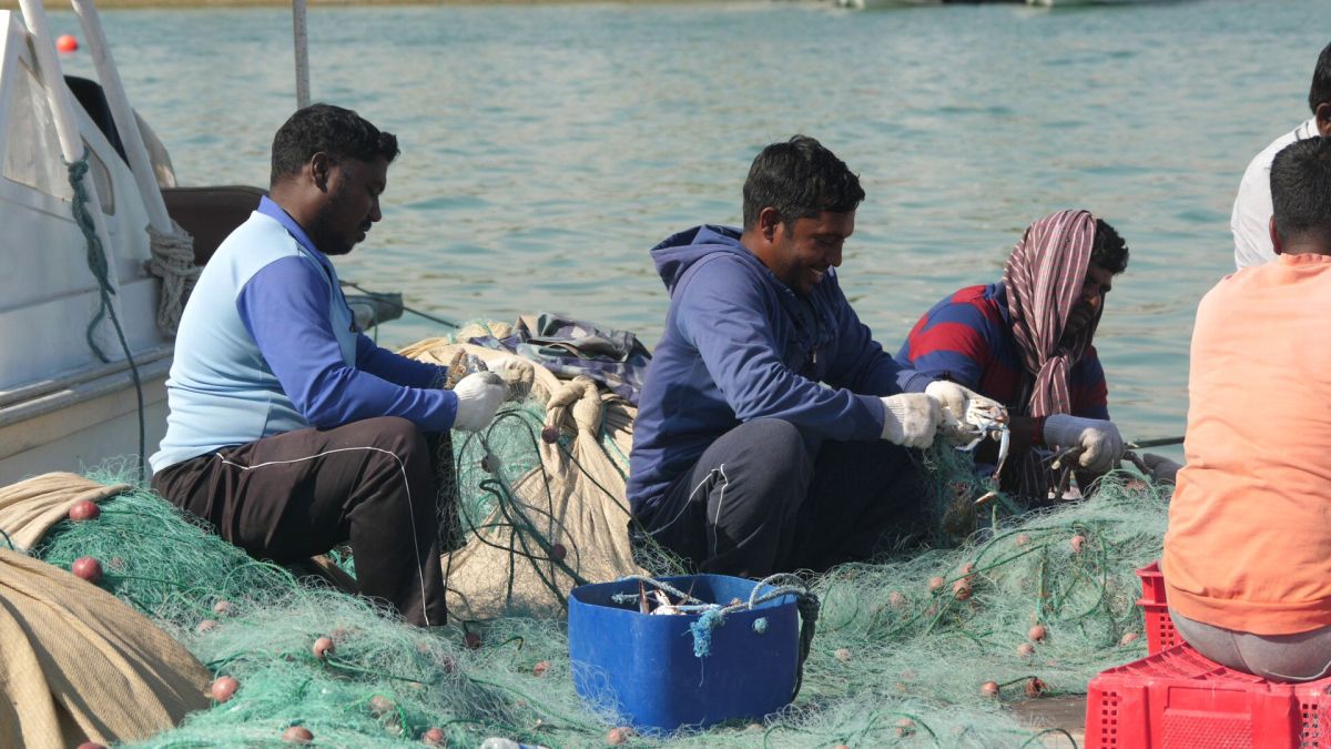 La pescuit de crabi în Doha