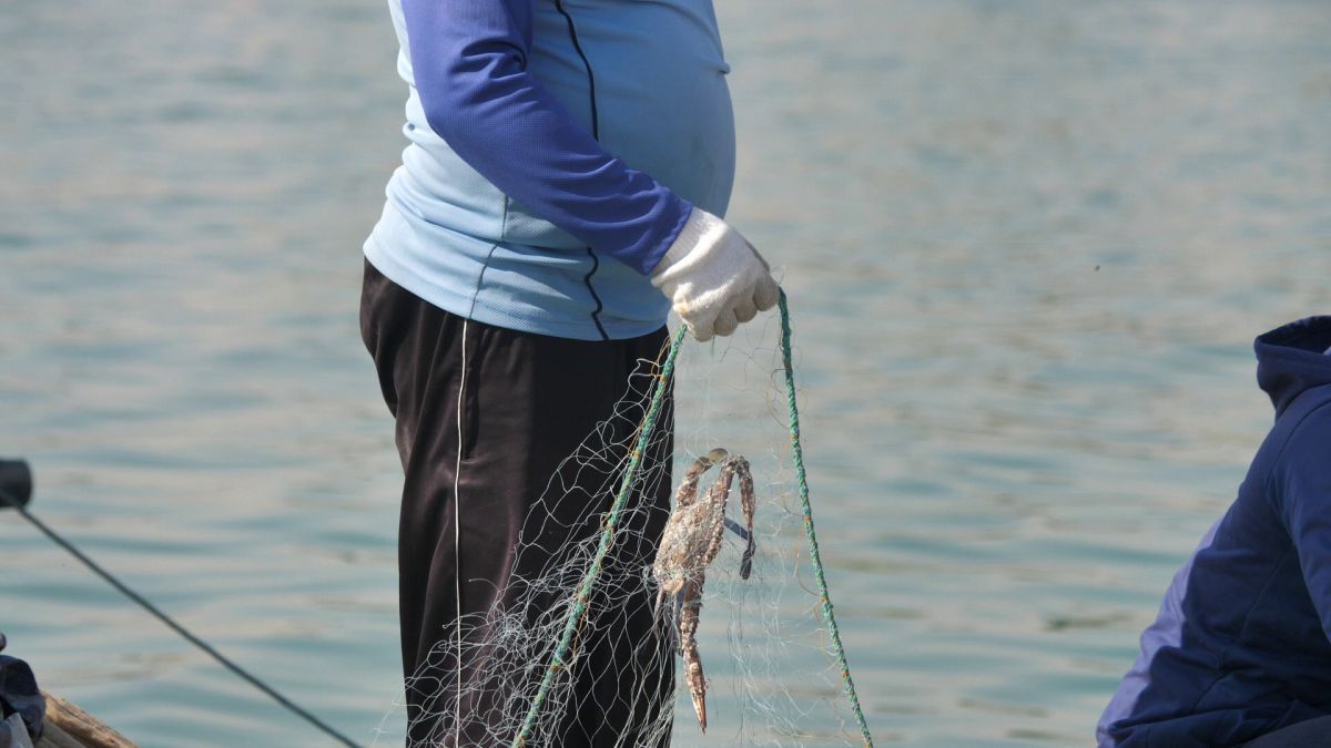 La pescuit de crabi în Doha