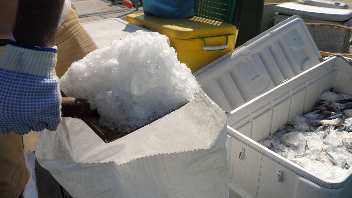 La pescuit de crabi în Doha