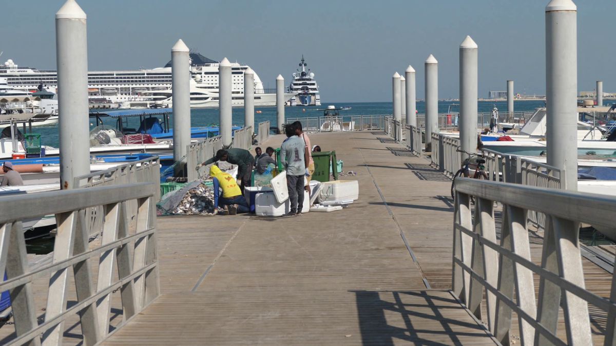 La pescuit de crabi în Doha