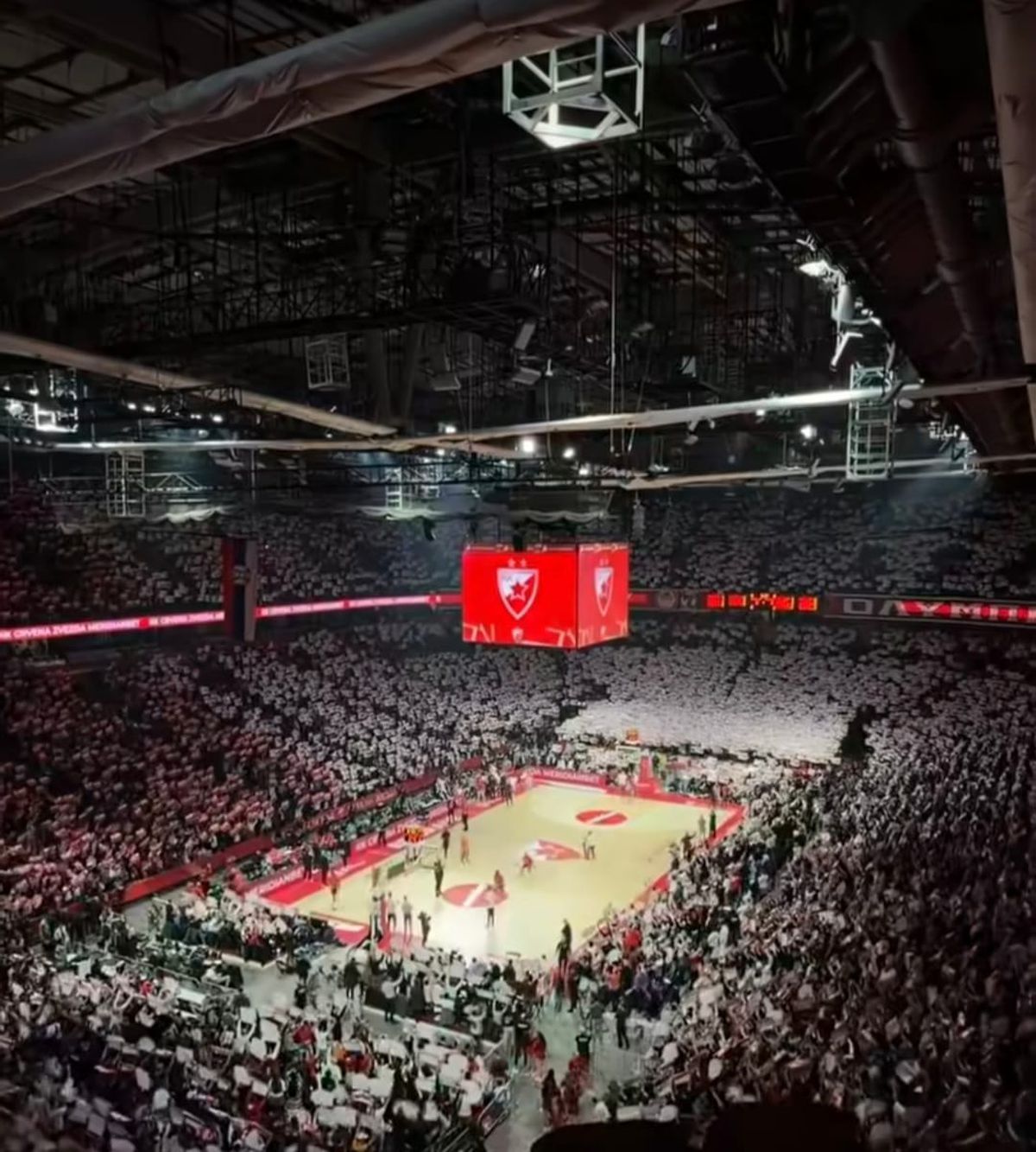 Electric Crvena Zvezda: atmosferă de excepție la baschet în EuroLiga