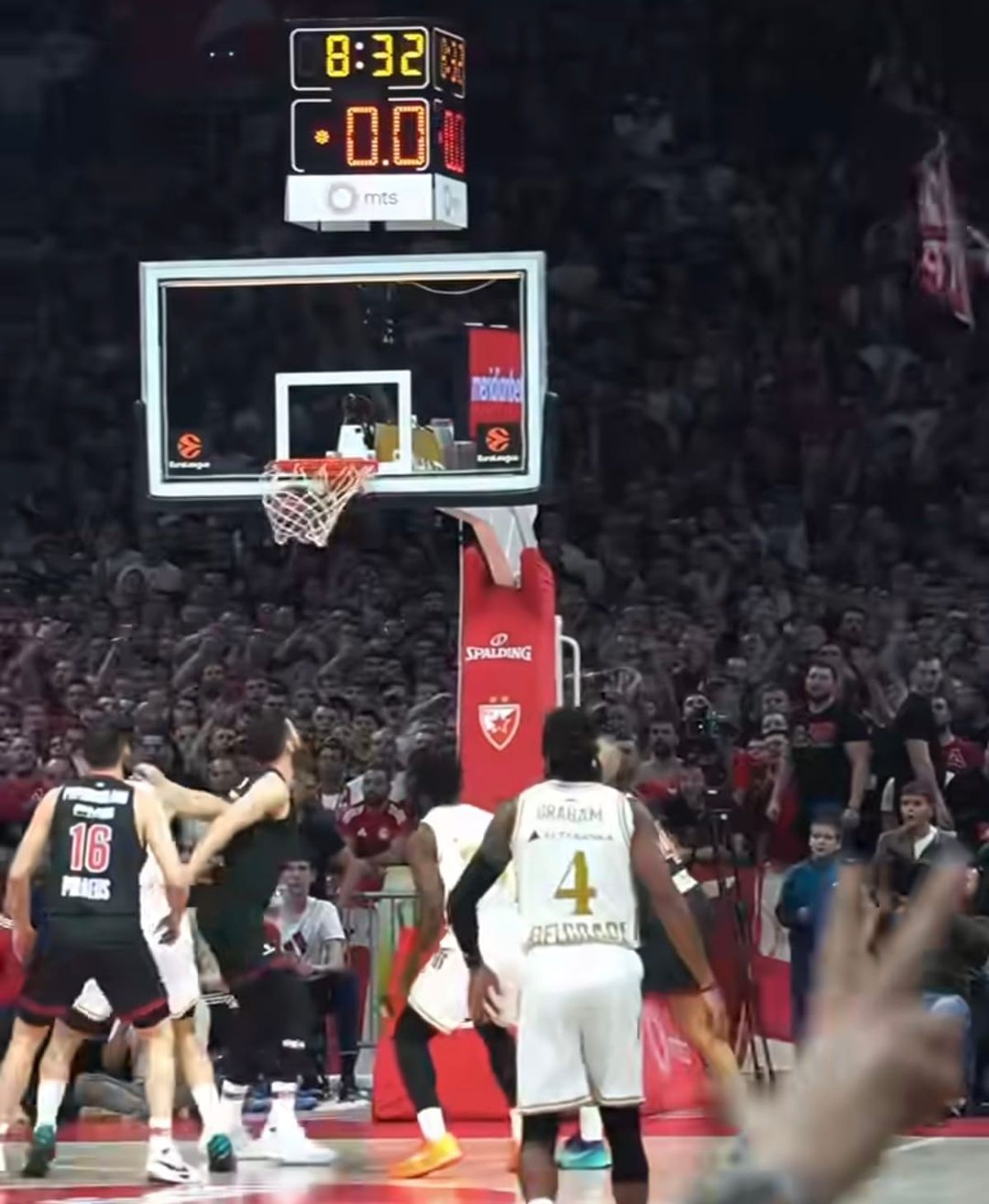 Electric Crvena Zvezda: atmosferă de excepție la baschet în EuroLiga