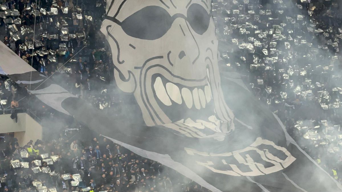 Scenografie Universitatea Craiova - Mainz