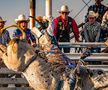 O adolescentă din SUA vrea să devină prima femeie care participă în circuitul profesionist de rodeo cu tauri