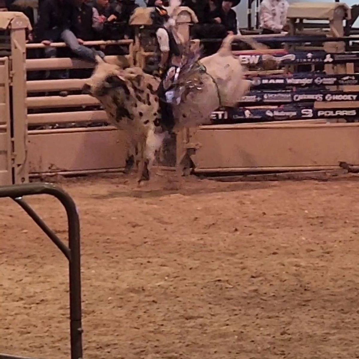 O adolescentă din SUA vrea să devină prima femeie care participă în circuitul profesionist de rodeo cu tauri