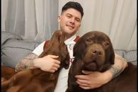 După ce a învins-o pe Dinamo, Cristian Săpunaru s-a împrietenit cu câinii » Imaginile postate de căpitanul Rapidului