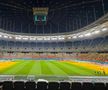 Cum arată gazonul Arenei Naționale înaintea meciului din Europa League, dintre FCSB - Fenerbahce. Foto: Carmen Dumitru (GSP.RO)