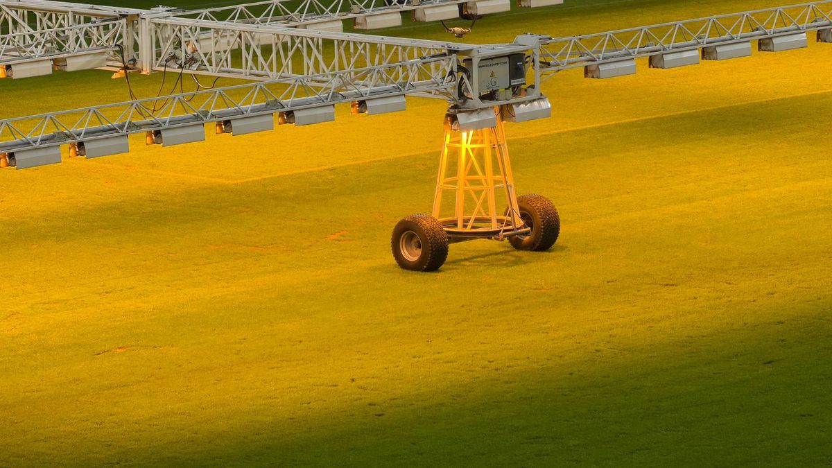 Gazon Arena Nationala - 28 ianuarie 2026