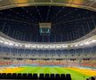 Cum arată gazonul Arenei Naționale înaintea meciului din Europa League, dintre FCSB - Fenerbahce. Foto: Carmen Dumitru (GSP.RO)