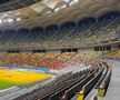 Cum arată gazonul Arenei Naționale înaintea meciului din Europa League, dintre FCSB - Fenerbahce. Foto: Carmen Dumitru (GSP.RO)