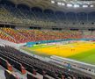 Cum arată gazonul Arenei Naționale înaintea meciului din Europa League, dintre FCSB - Fenerbahce. Foto: Carmen Dumitru (GSP.RO)