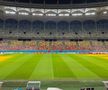 Cum arată gazonul Arenei Naționale înaintea meciului din Europa League, dintre FCSB - Fenerbahce. Foto: Carmen Dumitru (GSP.RO)