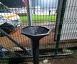 Cișmelele încă funcționează pe stadionul din Botoșani