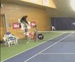 Scene incredibile la Praga » Tenismena care a eliminat-o pe Ana Bogdan de la Australian Open a aruncat scaunul în perete după ce a pierdut finala