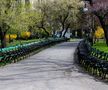 Parcurile din București au fost închise, din cauza pandemiei de COVID-19