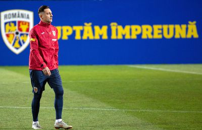 Aprecieri pentru Mirel Rădoi, înainte de meciul cu Germania: „Încearcă să ne scape de aceste metehne”