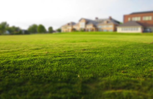 Sfaturi și idei pentru amenajarea gazonului din curte