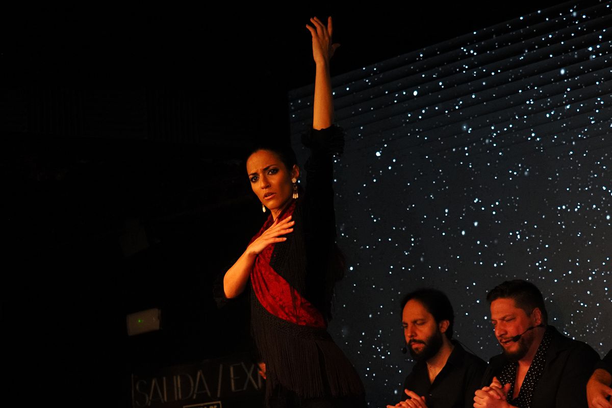 O seară de flamenco la Madrid