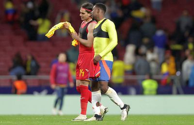 Anghel Iordănescu, mesaj dur pentru „tricolori”: „I-ați văzut pe columbieni?”