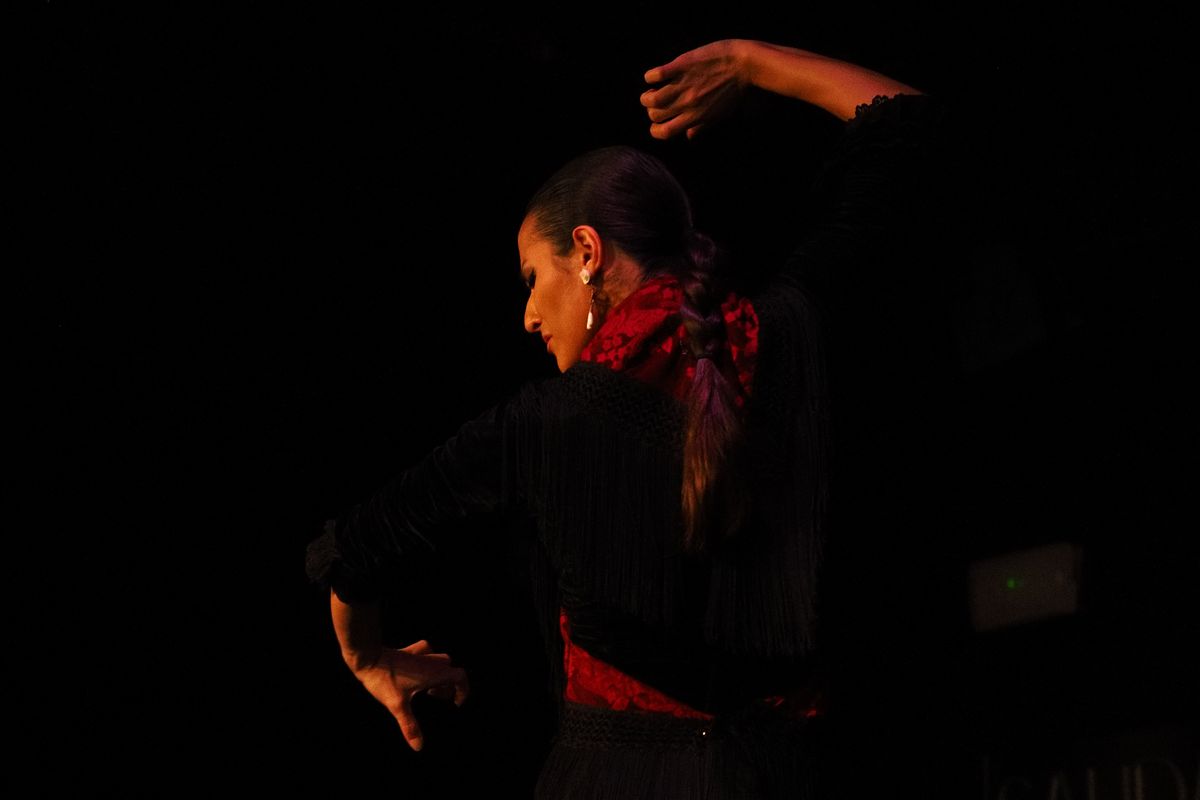 O seară de flamenco la Madrid