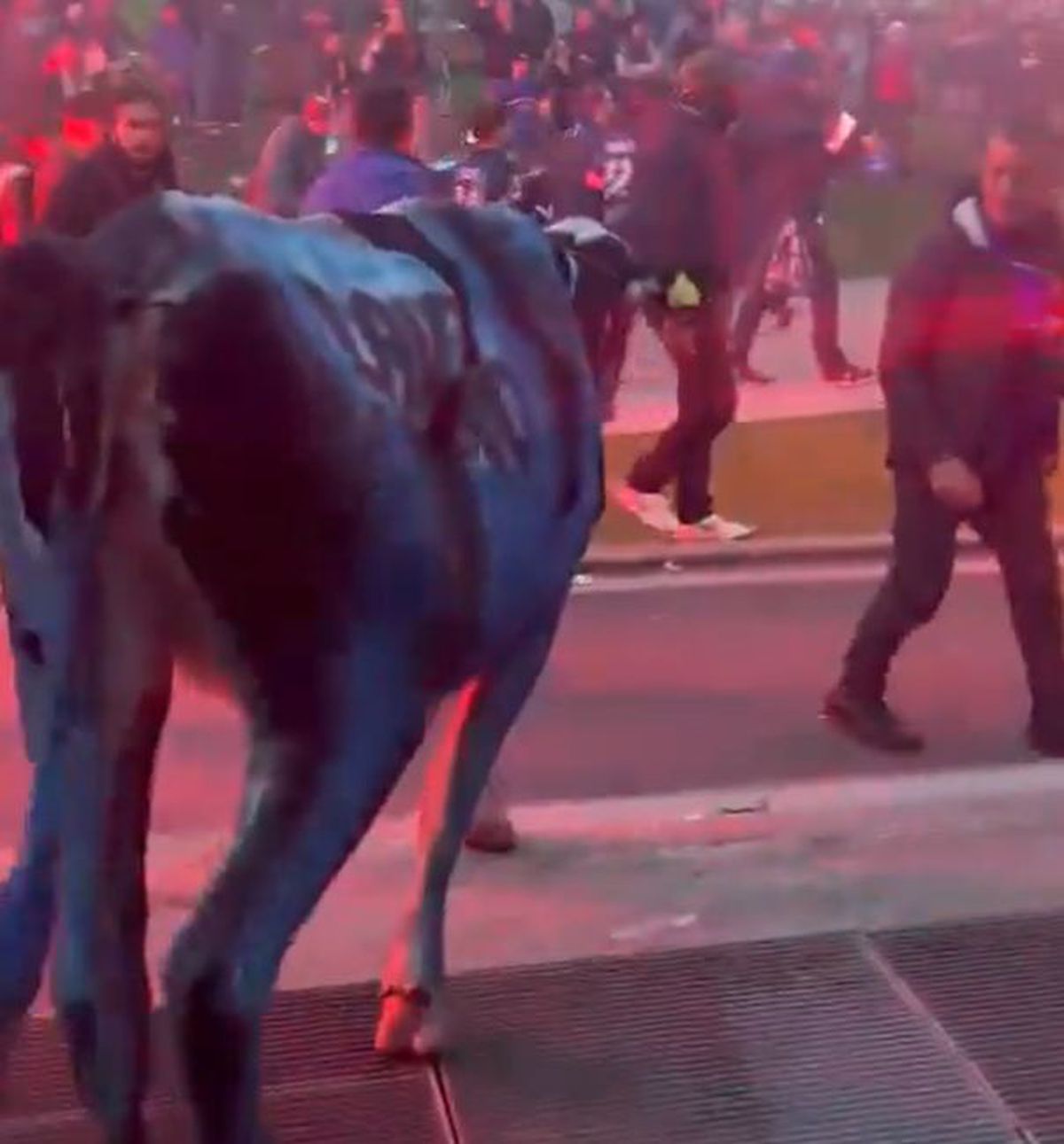 Jucătorii și fanii lui Inter Milano sărbătoresc cel de-al 20-lea titlu din Serie A