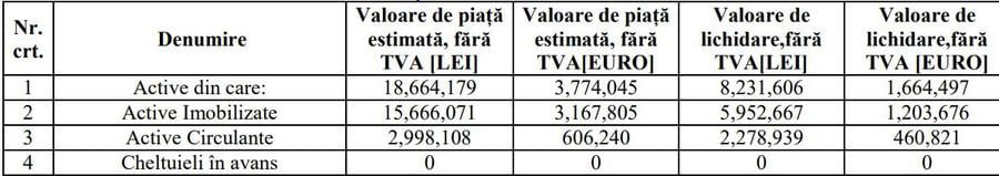 Raportul de Evaluare al activelor aflate în patrimoniul lui Dinamo, depus la tribunal în septembrie 2022 Avem tabelul care nu l-a convins pe judecătorul sindic » Patru jucători de la Dinamo, cotați la 100.000 de euro