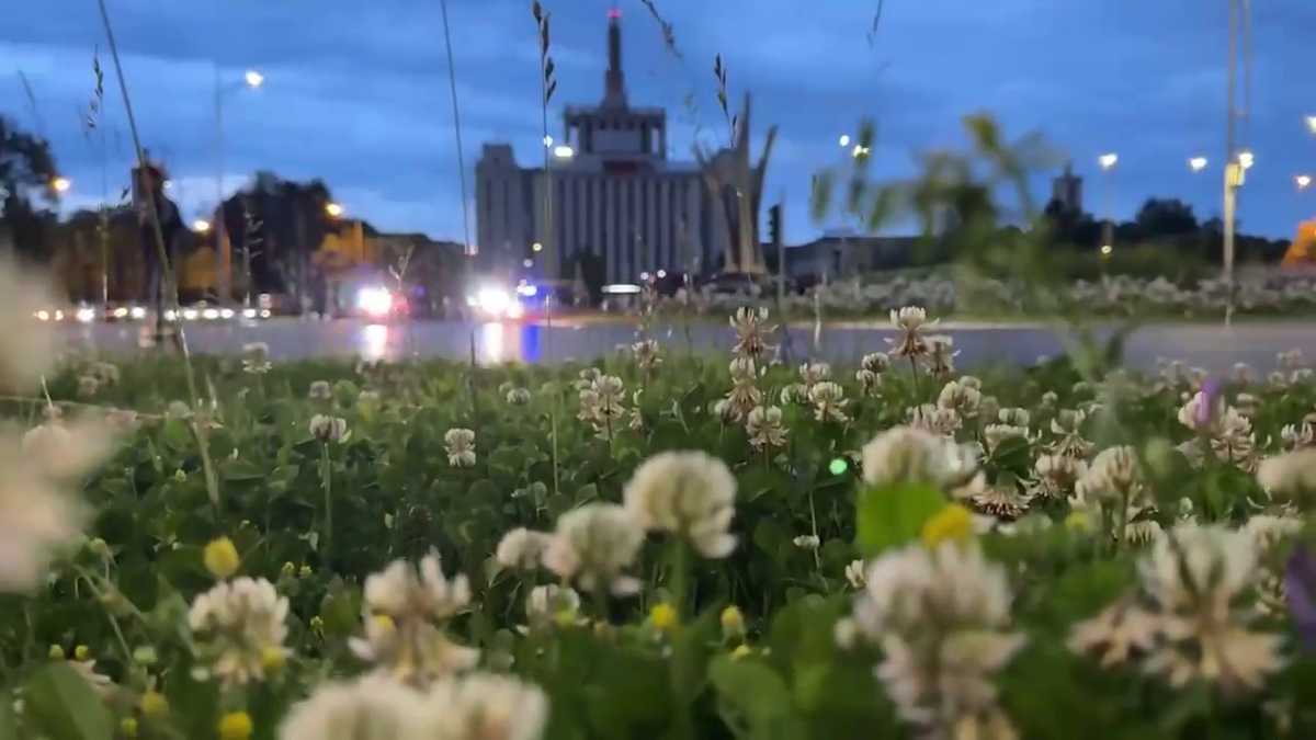 Imagini de neînțeles la sosirea lui Dinamo! » Gardă de onoare, antemergătoare BMW și circulație blocată + decorații de la ministrul de Interne