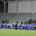 Roș-albaștrii au salutat Peluza Nord de la FCSB. Dar nu toți: Ogăraru, Oprița și Diniță lipsesc din poză. Foto: Cristi Preda (GSP)