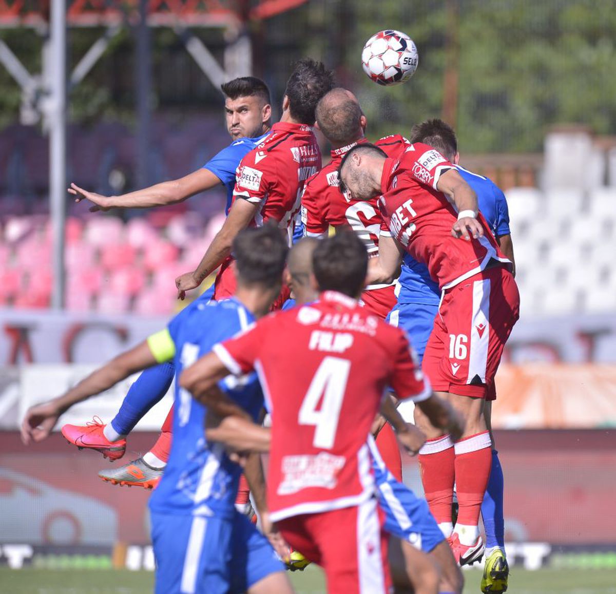 Voluntari e coșmarul lui Dinamo! După ce i-au trimis în play-out, ilfovenii îi îngroapă din nou pe „câini”