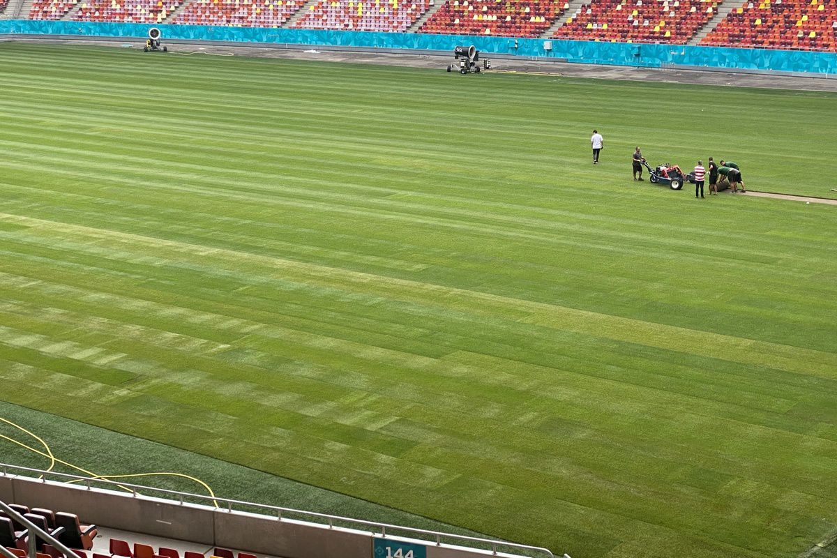 GSP.RO a intrat pe Arena Națională în ziua în care s-au finalizat lucrările la noul gazon » Cum arată terenul de 500.000 de euro