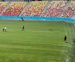 GSP.RO a intrat pe Arena Națională în ziua în care s-au finalizat lucrările la noul gazon » Cum arată terenul de 500.000 de euro