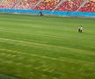 GSP.RO a intrat pe Arena Națională în ziua în care s-au finalizat lucrările la noul gazon » Cum arată terenul de 500.000 de euro