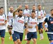 A mai apărut o problemă la echipa națională » Un titular s-a antrenat separat: GSP a aflat motivul