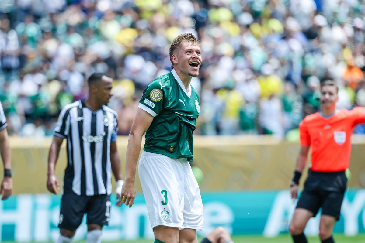 Palmeiras - Botafogo