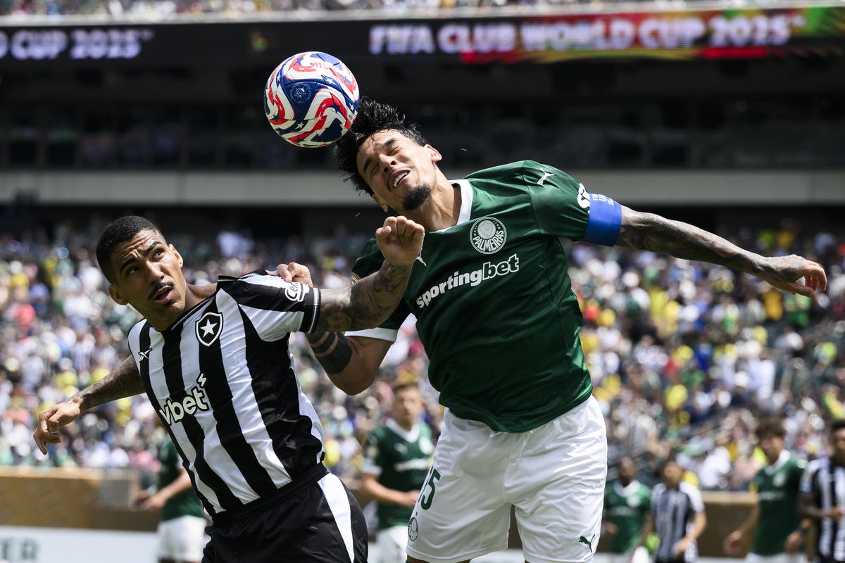 Palmeiras - Botafogo